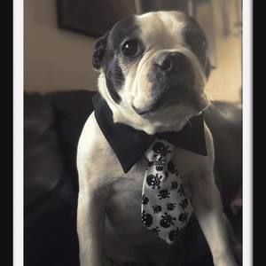 Meet your Posher, Donovan